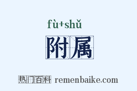 附属是什么意思的图片